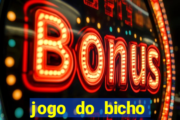 jogo do bicho crash bingo